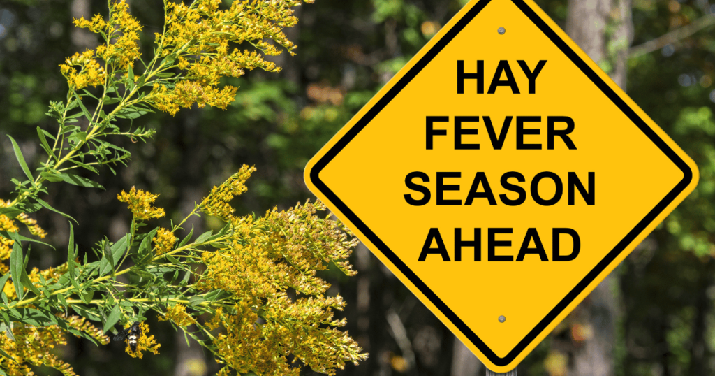 子供の花粉症とは？知っておきたい特徴