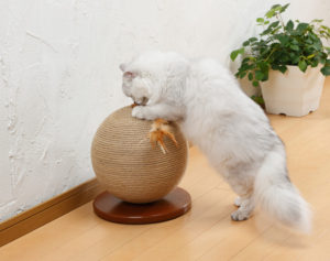 猫　爪とぎ　麻