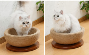 猫　爪とぎ　ボンビアルコン